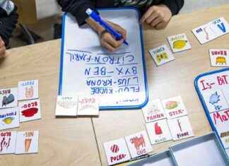 Allianssi: Vastuu nykyhetkestä ja tulevaisuudesta news-15112024-050340