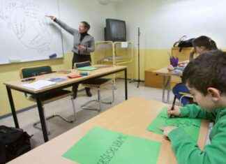 Modersmålsundervisning: Edut ja merkitys news-21112024-054020