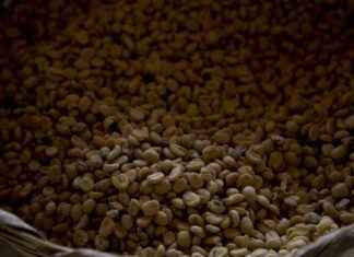 Kahvin hinta kohoaa ennätyskorkealle lähes 50 vuoteen news-28112024-111949