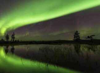 Löydä taianomaiset revontulet Skellefteåssa news-30112024-235000