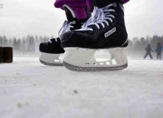 Gymnasienämndens vastuu LIU:n toiminnasta gymnasienmndens-vastuu-lun-toiminnasta