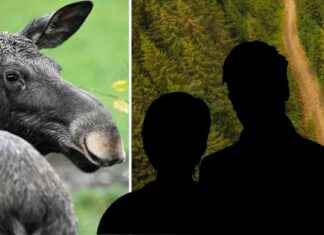 Metsästäjä seurasi verijälkiä – löysi salametsästäjän metsstj-seurasi-verijlki-lysi-salametsstjn