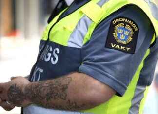 Ordningsvartijat: Yleisen turvallisuuden tärkeät vahtikoirat ordningsvartijat-yleisen-turvallisuuden-trket-vahtikoirat