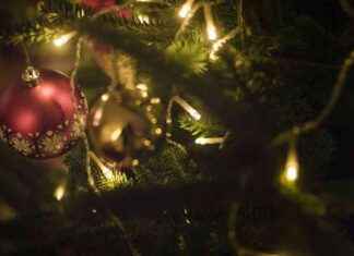 Ruotsin kuningaskunnan todellinen jouluevankeliumi ruotsin-kuningaskunnan-todellinen-jouluevankeliumi