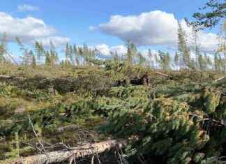 Syynä salattu menetetty tulevaisuus – bortblåsta framtidsutsikter syyn-salattu-menetetty-tulevaisuus-bortblsta-framtidsutsikter