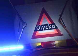 Henkilöauto törmäsi hirveen – viisi henkilöä mukana henkilauto-trmsi-hirveen-viisi-henkil-mukana