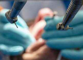 Nuoret kärsivät SD ja Tidöhallituksen ehdotuksista nuoret-krsivt-sd-ja-tidhallituksen-ehdotuksista