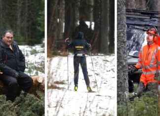 Puiden kaaos myrskyn jälkeen: Vie valtavasti aikaa puiden-kaaos-myrskyn-jlkeen-vie-valtavasti-aikaa