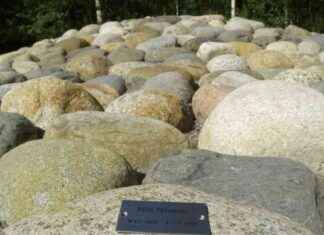 Säilytä lumi hautausmaalla: 5 syytä, miksi se on tärkeää silyt-lumi-hautausmaalla-5-syyt-miksi-se-on-trke