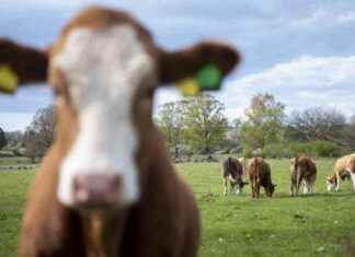Uusien yritysten luettelo: Tässä ovat maakunnan vasta perustetut yritykset uusien-yritysten-luettelo-tss-ovat-maakunnan-vasta-perustetut-yritykset