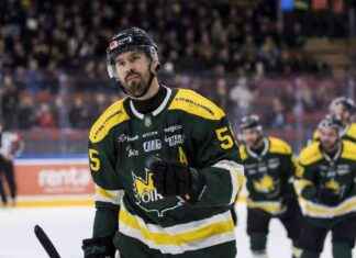 Videll paljasti: Ole vain kiitollinen ja vastaanota videll-paljasti-ole-vain-kiitollinen-ja-vastaanota