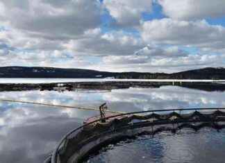 Fiskatilat voivat vaikuttaa ympäristöön haitallisesti fiskatilat-voivat-vaikuttaa-ympristn-haitallisesti