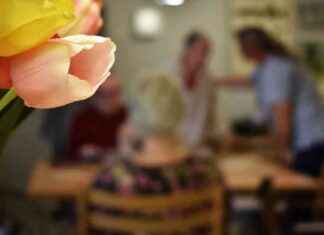 Paranna vanhustenhuollon työympäristöä: Tärkeimmät tavoitteet ja vinkit paranna-vanhustenhuollon-tyymprist-trkeimmt-tavoitteet-ja-vinkit