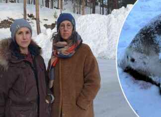 Rasismi uhkaa enemmän rallikilpailuja rasismi-uhkaa-enemmn-rallikilpailuja