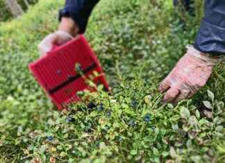 Miksi meidän on elettävä kestävämmin – Tärkeimmät tavoitteet ja keskittyminen miksi-meidn-on-elettv-kestvmmin-trkeimmt-tavoitteet-ja-keskittyminen
