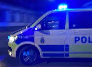 Usein kysytyt kysymykset Krokomissa: Selitys jätteslagsmålille usein-kysytyt-kysymykset-krokomissa-selitys-jtteslagsmlille