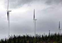 Vindkraftsprojekt Storrisberget avbruten vindkraftsprojekt-storrisberget-avbruten