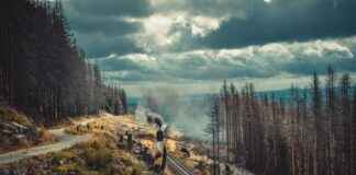 AC Hotel Stockholm Ulriksdal: Ett Hotell I Grönska AC Hotel Stockholm Ulriksdal: Ett Hotell I Grönska