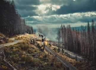 AC Hotel Stockholm Ulriksdal: Ett Hotell I Grönska AC Hotel Stockholm Ulriksdal: Ett Hotell I Grönska