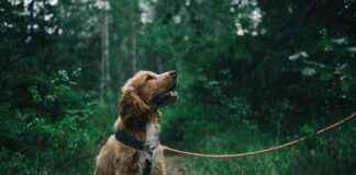 Att Göra I Stockholm Idag Gratis Att Göra I Stockholm Idag Gratis