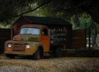 Att Göra Med Barn I Stockholm: Tips För Familjen Att Göra Med Barn I Stockholm: Tips För Familjen