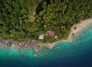 Bruce Springsteen Stockholm: Allt Du Behöver Veta Om Konserten Bruce Springsteen Stockholm: Allt Du Behöver Veta Om Konserten