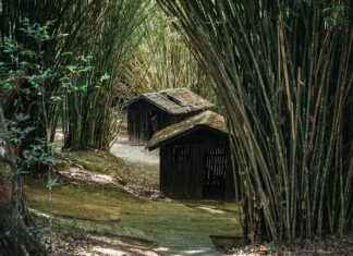Campa I Stockholm: Bästa Campingplatserna I Och Runt Staden Campa I Stockholm: Bästa Campingplatserna I Och Runt Staden