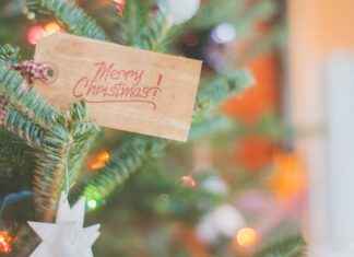 Göteborg Stockholm Tåg: Smidigaste Resvägen Mellan Städerna Göteborg Stockholm Tåg: Smidigaste Resvägen Mellan Städerna