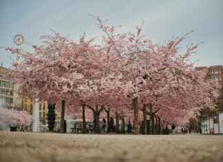 Höstlov 2024 Stockholm: Vad Du Kan Göra Under Lovet Höstlov 2024 Stockholm: Vad Du Kan Göra Under Lovet
