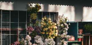 Hur Fort Får Man Köra Med Släp Hur Fort Får Man Köra Med Släp