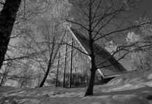 Hur Mycket Blod Har Man I Kroppen Hur Mycket Blod Har Man I Kroppen