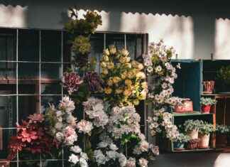 Hur Snabbt Får Man Köra Med Släp Hur Snabbt Får Man Köra Med Släp