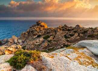 Hur Tidigt Kan Man Ta Graviditetstest Hur Tidigt Kan Man Ta Graviditetstest