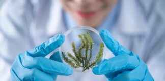 Hur Vet Man Om Man Är Gravid Hur Vet Man Om Man Är Gravid