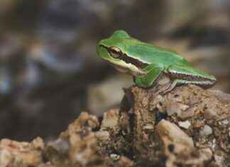 Hyra Lägenhet Stockholm: Din Guide Till Bostadsmarknaden Hyra Lägenhet Stockholm: Din Guide Till Bostadsmarknaden