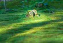 Lekparker I Stockholm: Roligaste Platserna För Barn Lekparker I Stockholm: Roligaste Platserna För Barn