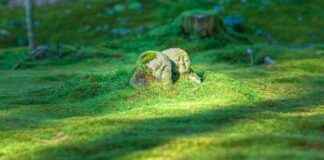 Lekparker I Stockholm: Roligaste Platserna För Barn Lekparker I Stockholm: Roligaste Platserna För Barn