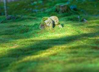 Lekparker I Stockholm: Roligaste Platserna För Barn Lekparker I Stockholm: Roligaste Platserna För Barn