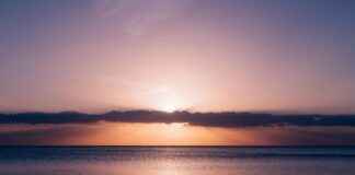 Mexikansk Restaurang Stockholm: Här Äter Du Autentiskt Mexikansk Restaurang Stockholm: Här Äter Du Autentiskt