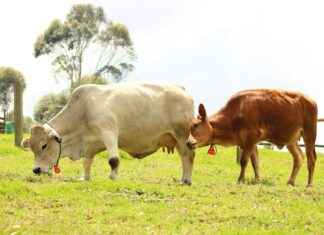Pride Stockholm 2022: Firandet Du Inte Får Missa Pride Stockholm 2022: Firandet Du Inte Får Missa