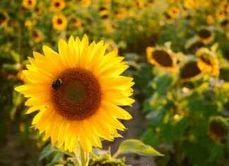 Radisson Blu Waterfront Hotel Nils Ericsons Plan Stockholm Radisson Blu Waterfront Hotel Nils Ericsons Plan Stockholm