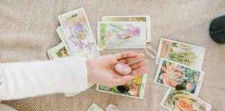 Scandic Hotell Stockholm: Bästa Hotellkedjan I Stan Scandic Hotell Stockholm: Bästa Hotellkedjan I Stan