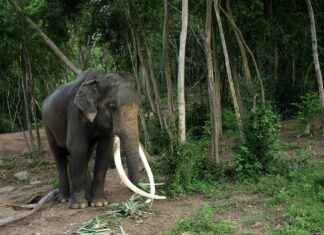 Skrota Bilen Stockholm: Så Gör Du Det Smidigt Skrota Bilen Stockholm: Så Gör Du Det Smidigt