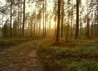 Solens Upp Och Nedgång Tabell Stockholm Solens Upp Och Nedgång Tabell Stockholm