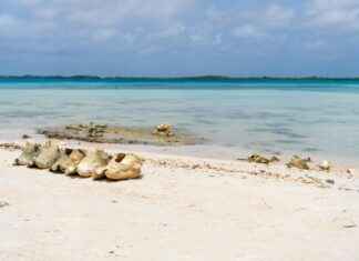 Stockholm Beach Club: Sommarnöje I Huvudstaden Stockholm Beach Club: Sommarnöje I Huvudstaden