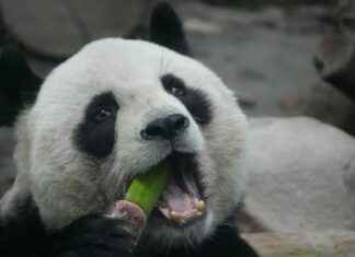 The Bull And Bear Inn Stockholm: Pubtips För Dig The Bull And Bear Inn Stockholm: Pubtips För Dig