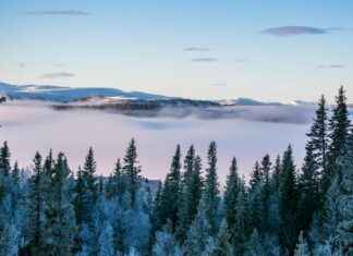 Väder Stockholm 14 Dagar: Bästa Väderprognosen Här Väder Stockholm 14 Dagar: Bästa Väderprognosen Här