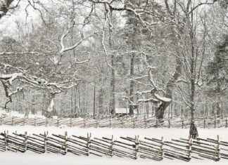 Yr No Stockholm: Din Guide Till Väderprognosen Yr No Stockholm: Din Guide Till Väderprognosen