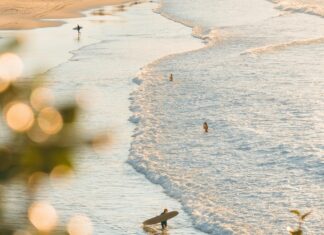 Surfers Stockholm: Upptäck De Bästa Platserna För Surfing!