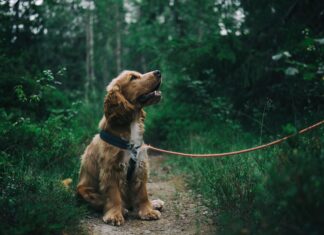 Konferens Stockholm: Upptäck De Bästa Tipsen För Din Eventplanering